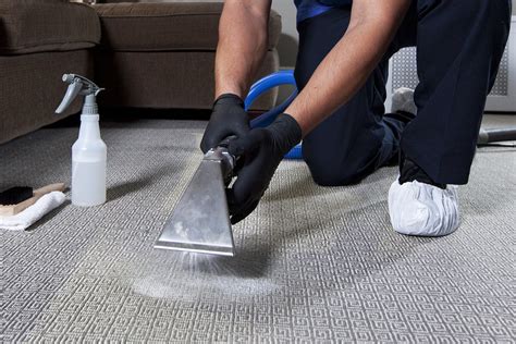 Stina Magic Carput Cleaner: The Key to Extending the Lifespan of Your Carpets